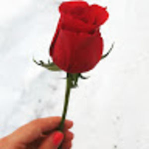 Meet your Posher, Alice